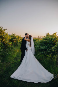 vineyard wedding photo